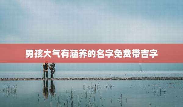 男孩大气有涵养的名字免费带吉字