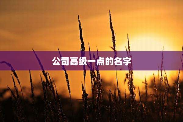 公司高级一点的名字