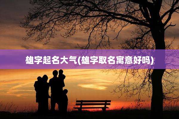 雄字起名大气(雄字取名寓意好吗)