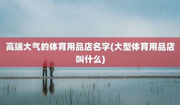 高端大气的体育用品店名字(大型体育用品店叫什么)