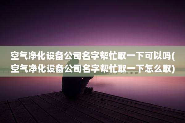 空气净化设备公司名字帮忙取一下可以吗(空气净化设备公司名字帮忙取一下怎么取)