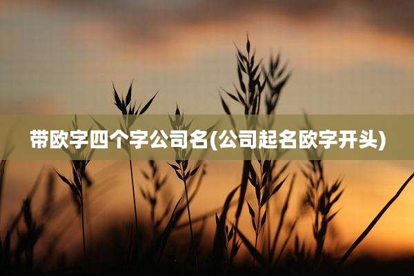 带欧字四个字公司名(公司起名欧字开头)