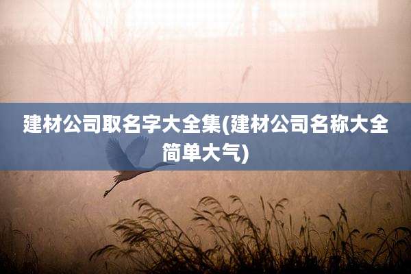 建材公司取名字大全集(建材公司名称大全简单大气)