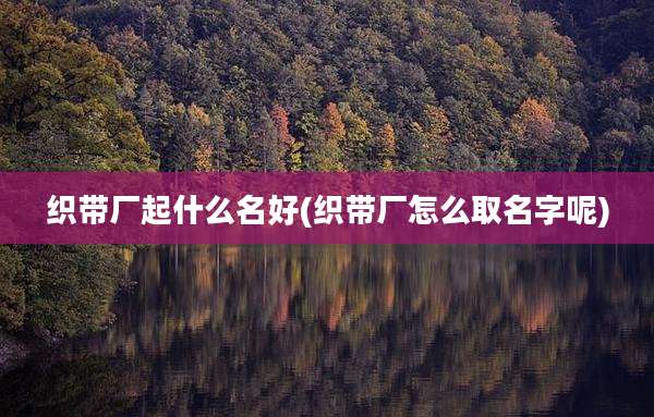 织带厂起什么名好(织带厂怎么取名字呢)