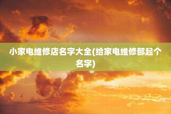 小家电维修店名字大全(给家电维修部起个名字)