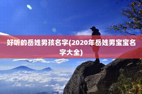 好听的岳姓男孩名字(2020年岳姓男宝宝名字大全)