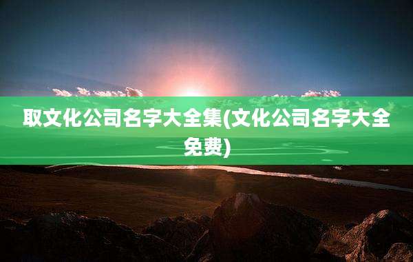 取文化公司名字大全集(文化公司名字大全免费)