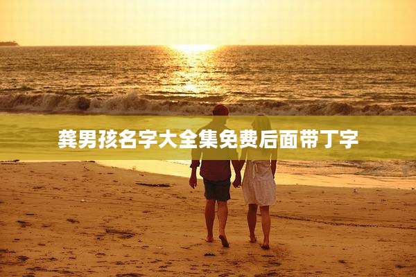 龚男孩名字大全集免费后面带丁字