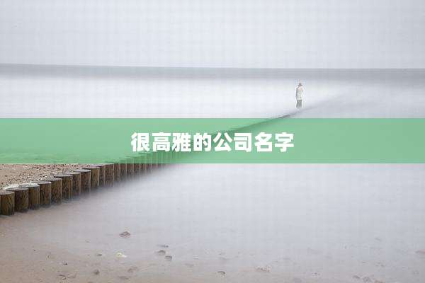 很高雅的公司名字