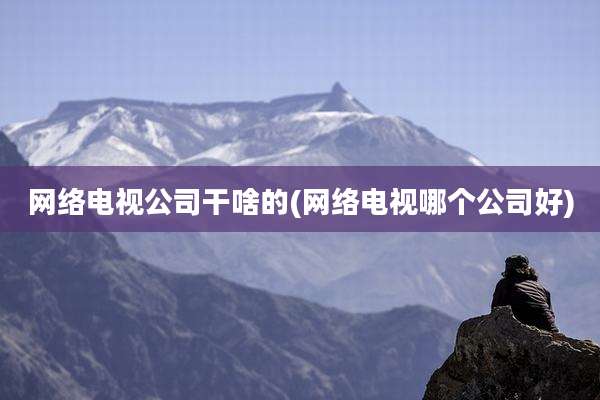 网络电视公司干啥的(网络电视哪个公司好)