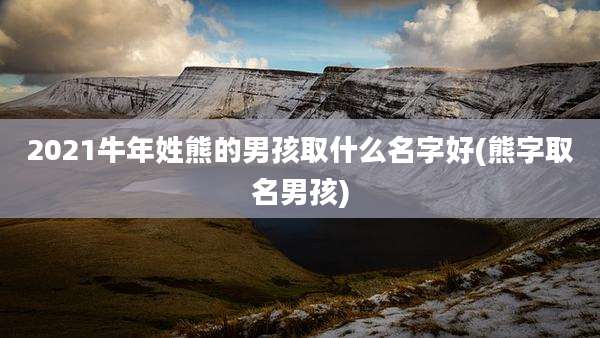 2021牛年姓熊的男孩取什么名字好(熊字取名男孩)