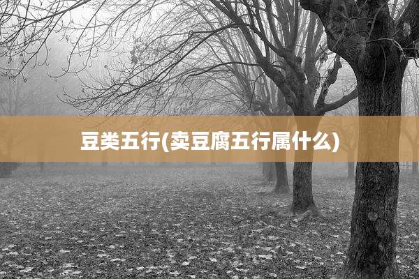 豆类五行(卖豆腐五行属什么)