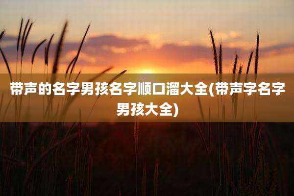 带声的名字男孩名字顺口溜大全(带声字名字男孩大全)