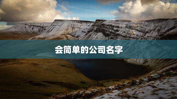 会简单的公司名字