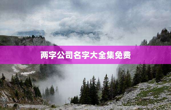 两字公司名字大全集免费