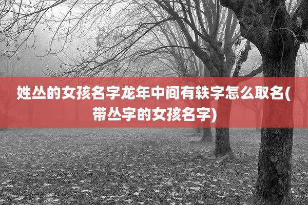 姓丛的女孩名字龙年中间有轶字怎么取名(带丛字的女孩名字)