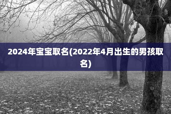 2024年宝宝取名(2022年4月出生的男孩取名)
