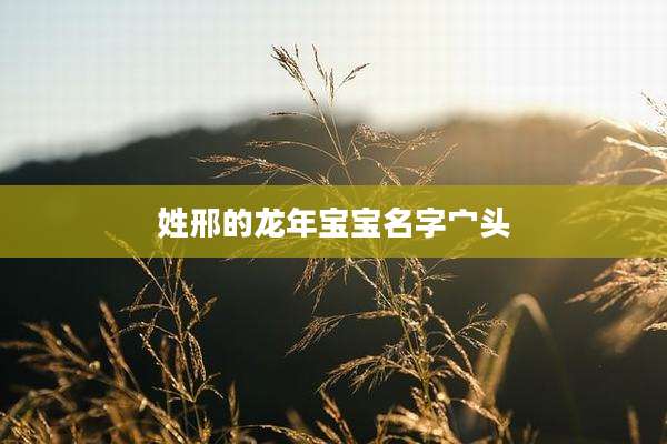 姓邢的龙年宝宝名字宀头