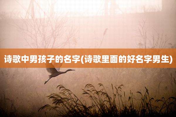 诗歌中男孩子的名字(诗歌里面的好名字男生)