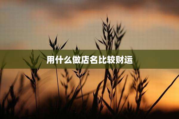 用什么做店名比较财运