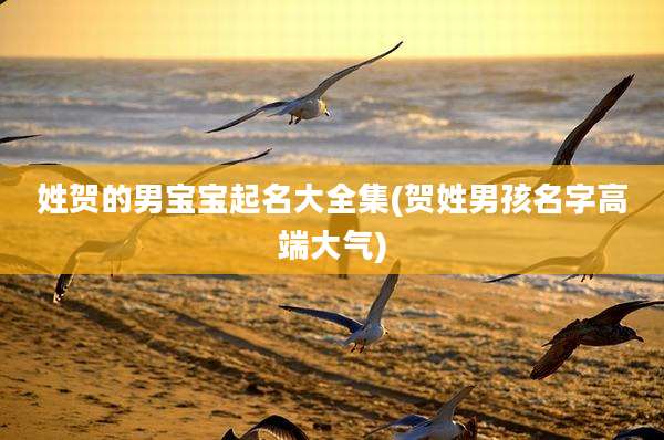 姓贺的男宝宝起名大全集(贺姓男孩名字高端大气)