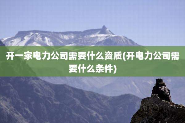 开一家电力公司需要什么资质(开电力公司需要什么条件)