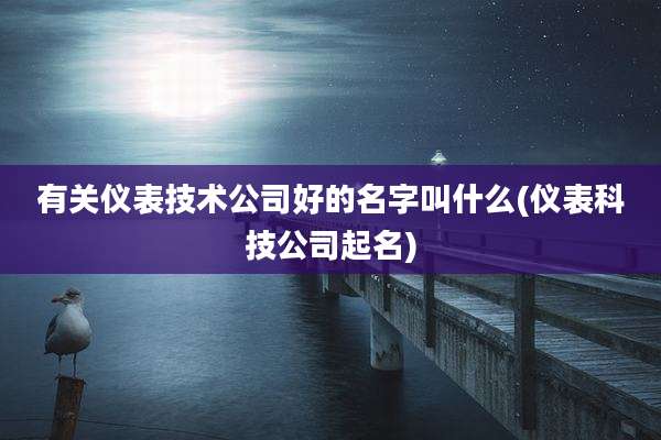 有关仪表技术公司好的名字叫什么(仪表科技公司起名)