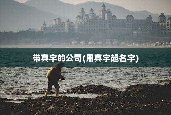 带真字的公司(用真字起名字)