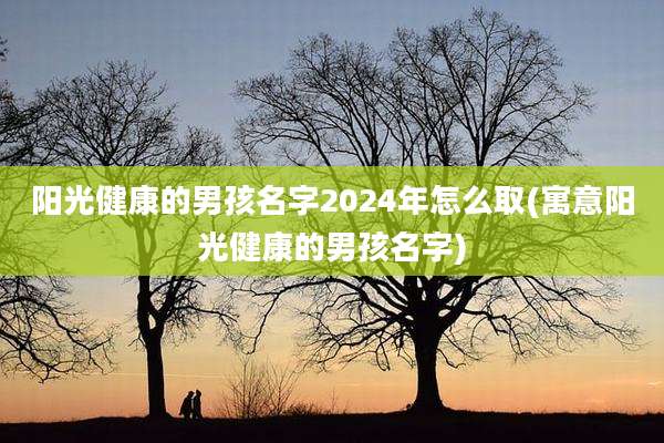 阳光健康的男孩名字2024年怎么取(寓意阳光健康的男孩名字)