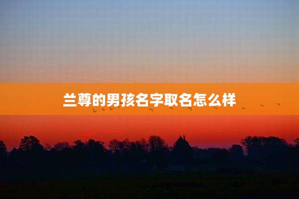 兰尊的男孩名字取名怎么样