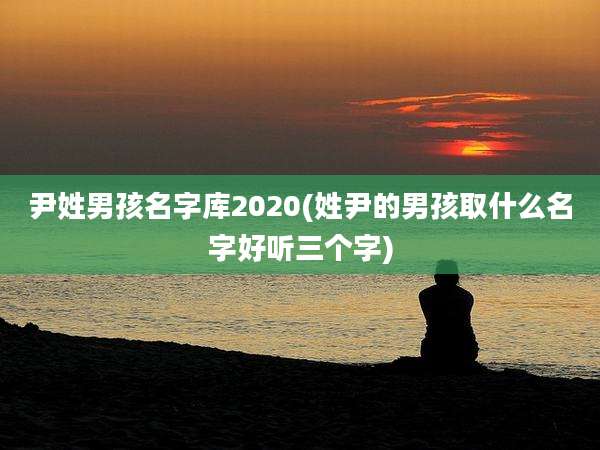 尹姓男孩名字库2020(姓尹的男孩取什么名字好听三个字)