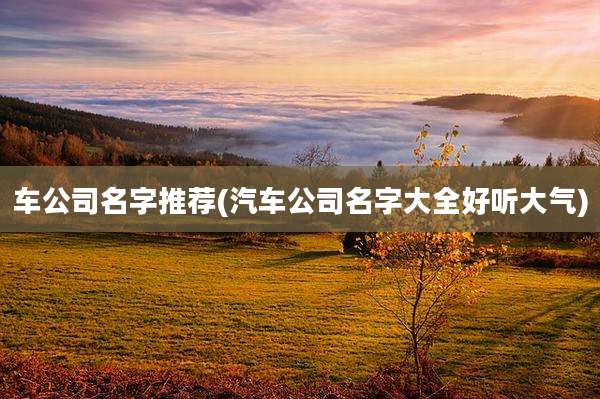 车公司名字推荐(汽车公司名字大全好听大气)