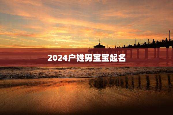 2024户姓男宝宝起名