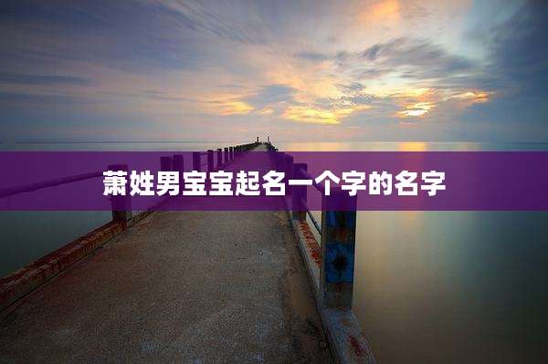 萧姓男宝宝起名一个字的名字