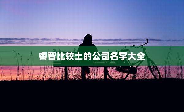 睿智比较土的公司名字大全