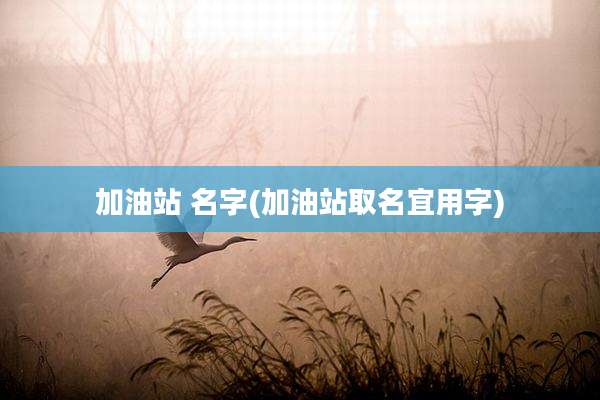 加油站 名字(加油站取名宜用字)