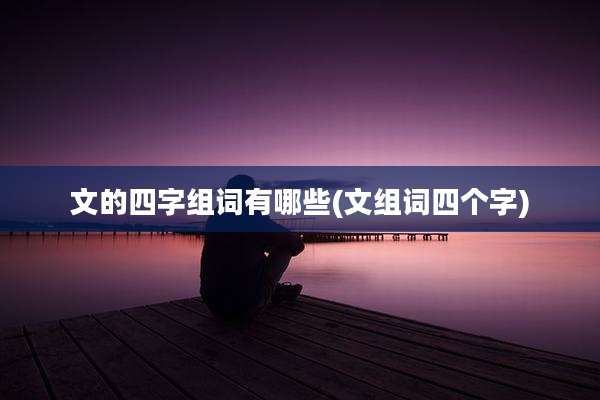 文的四字组词有哪些(文组词四个字)