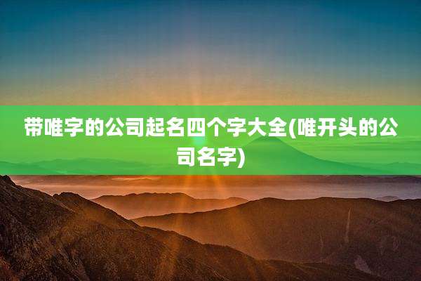 带唯字的公司起名四个字大全(唯开头的公司名字)