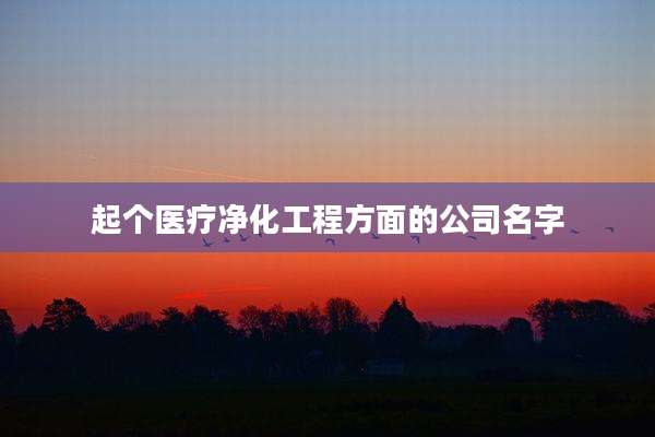 起个医疗净化工程方面的公司名字