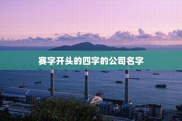 赛字开头的四字的公司名字