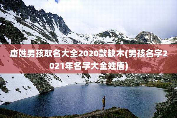 唐姓男孩取名大全2020款缺木(男孩名字2021年名字大全姓唐)
