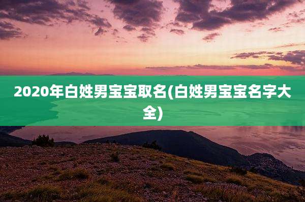 2020年白姓男宝宝取名(白姓男宝宝名字大全)