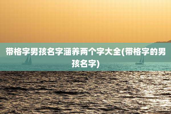 带格字男孩名字涵养两个字大全(带格字的男孩名字)