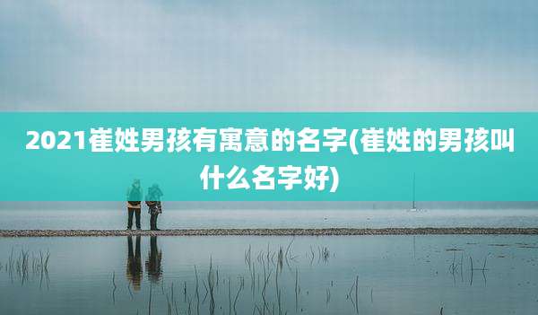 2021崔姓男孩有寓意的名字(崔姓的男孩叫什么名字好)