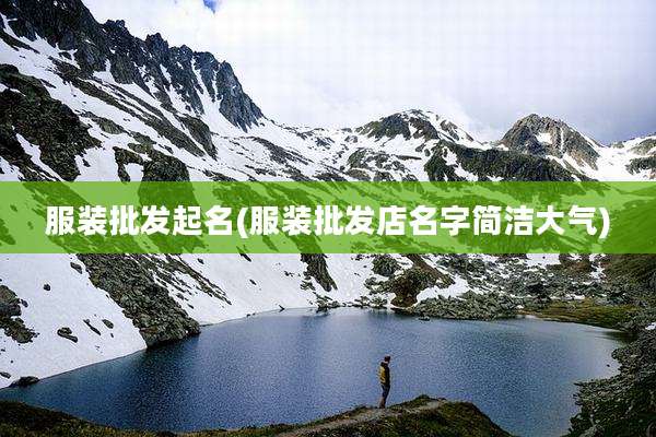 服装批发起名(服装批发店名字简洁大气)