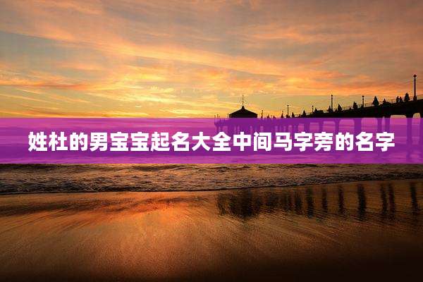 姓杜的男宝宝起名大全中间马字旁的名字