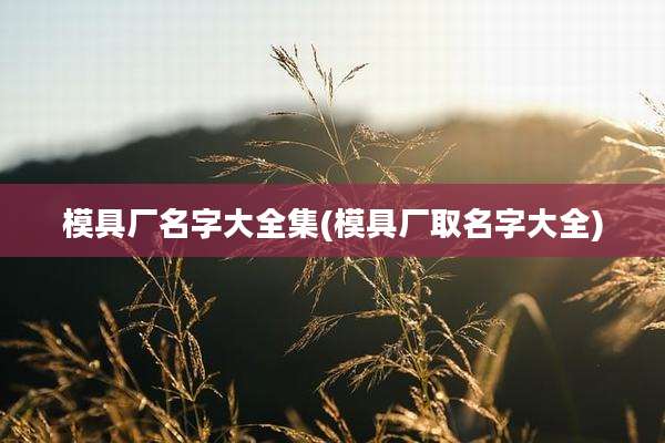 模具厂名字大全集(模具厂取名字大全)