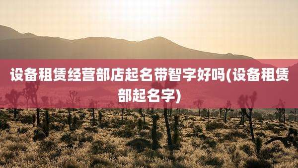 设备租赁经营部店起名带智字好吗(设备租赁部起名字)