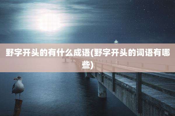 野字开头的有什么成语(野字开头的词语有哪些)