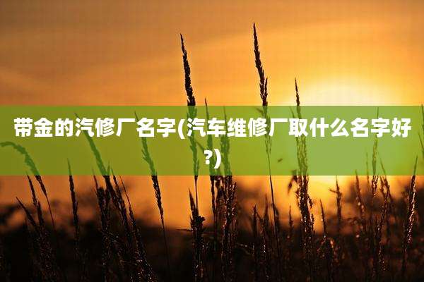 带金的汽修厂名字(汽车维修厂取什么名字好?)